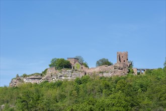 View of the ruins of Luetzelburg, Lutzelbourg, Lorraine, France, Alsace, Europe