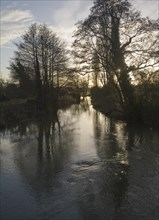 Winter landscape trees and water with low sun in sky River Deben, Ufford, Suffolk, England, United