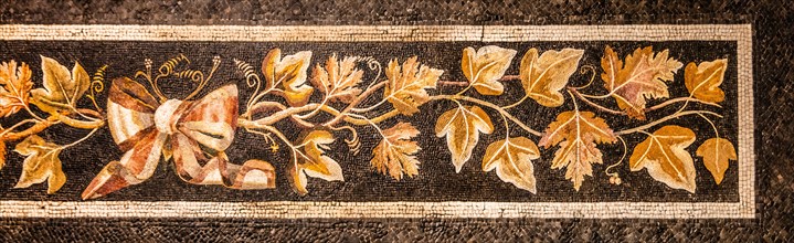 Mosaic depicting vine leaves, National Archaeological Museum, Villa Cassis Faraone, UNESCO World