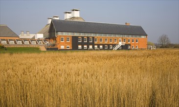 Concert hall seen over reeds at Snape Maltings. Suffolk, England, United Kingdom, Europe
