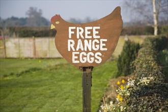 Free range eggs sign shaped as a hen, Tunstall, Suffolk, England, United Kingdom, Europe