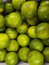 Limes on display in grocery shop grocery store grocer supermarket, Germany, Europe