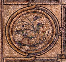 Floor mosaic of the Basilica di Santa Eufemia, Citta vecchia, island of Grado, north coast of the