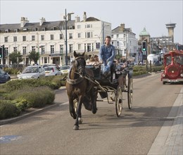 Horse and carriage ride along the seafront, Great Yarmouth, Norfolk, England, United Kingdom,
