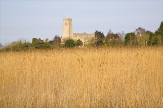 Blythburgh church in the marshes and reeds, Suffolk, England, United Kingdom, Europe