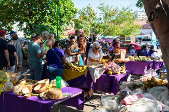 People at the busy market Mercado Organico in Santa Cruz, Pochutla, Baja de Huatulco, South Pacific