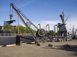 Historic ships and boats in the Haven museum in Leuvehaven dock, Rotterdam, Netherlands