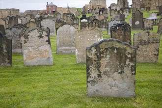 Eighteenth and nineteenth century gravestones at Tynemouth priory, Northumberland, England, United
