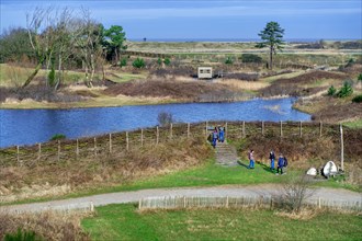 View over the Zwin Nature Park, bird sanctuary at Knokke-Heist and visitors looking through bird