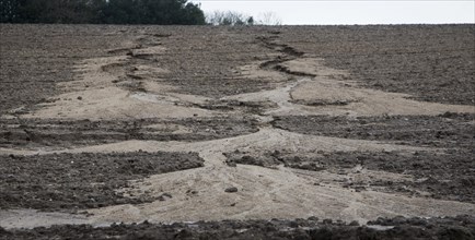 Soil erosion in a field from overland flow after heavy rain, Rendlesham, Suffolk, England, United