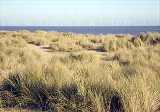 Scroby Sands offshore wind farm, Great Yarmouth, Norfolk, England, United Kingdom, Europe