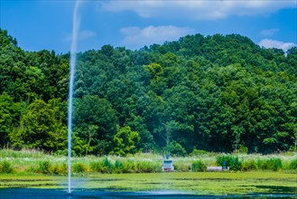 A serene pond with a powerful geyser surrounded by lush greenery under a clear blue sky, in South