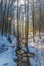 A snow-covered stream flooded with gentle rays of sunshine, Gelpe, Elberfeld, Wuppertal North
