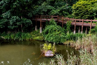 A tranquil pond with a wooden bridge surrounded by dense greenery, in South Korea
