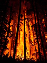 Wildfire engulfs a dense forest at night flames, AI generated