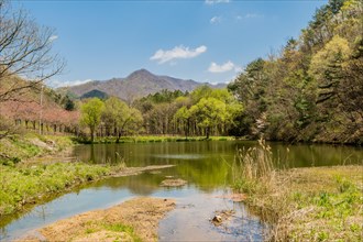 Serene lake view with lush greenery and distant mountains under a clear blue sky, in South Korea