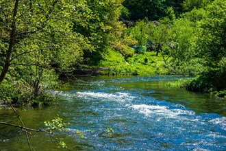 A lively river meanders through a green wooded area on a sunny day, Wupper, Beyenburg, Wuppertal,