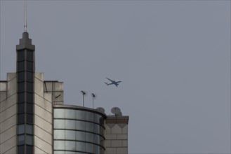 Airbus A319-100 aircraft of British airways in flight over a city skyscraper building, London,