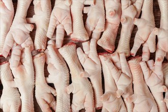 Top view, photographic background with clean chicken feet