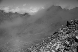 A lone dog on a rocky mountain ledge in black and white under foggy conditions, Amazing Dogs in the