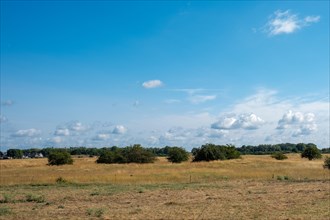 A peaceful landscape with a wide field under a blue sky with clouds