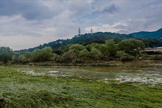 Expansive flooded landscape with trees partially submerged underwater, in South Korea