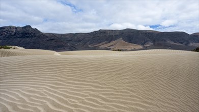 Dune landscape, dunes, Playa de Famara, Lanzarote, Canary Islands, Spain, Europe