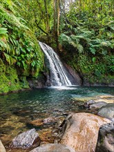 Pure nature, a waterfall with a pool in the forest. The Ecrevisses waterfalls, Cascade aux