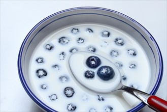 Blueberries with milk in skin