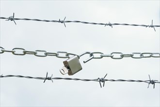 Chain with open padlock on a barbed wire isolated on a white background, freedom concept