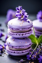 Lavender honey ice cream sandwiched between french macarons fresh lavender sprigs adornment, AI