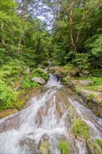 Refreshing forest stream with flowing water through rocks and green vegetation, in South Korea