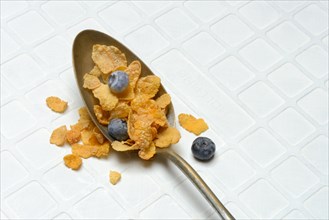 Cornflakes and blueberries in spoon, Breakfast