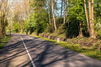 A cyclist on a road surrounded by trees on a sunny spring day, cycle path, Nordbahntrasse, Barmen,