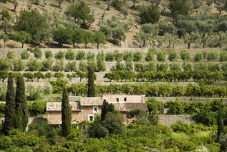 Village in the mountains with citrus plantations, Fornalutx, Soller, Serra de Tramuntana, Majorca,