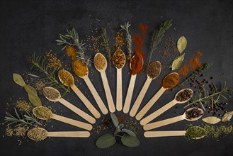 Various spices and herbs artfully arranged in a semi-circle on a dark background