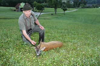 A hunter rejoices over a killed european roe deer (Capreolus capreolus) Eichenbruch am Hut, Lower