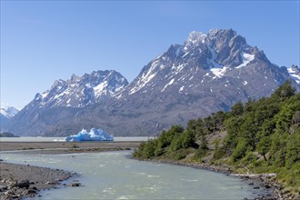 Iceberg at Lago Grey, Torres del Paine National Park, Parque Nacional Torres del Paine, Cordillera