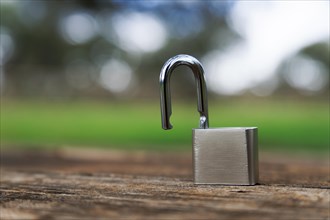 Close-up of an open padlock on a wooden table in a field with out-of-focus background