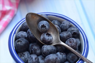 Blueberries in cup, cultivated blueberry