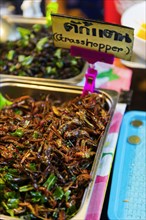 Roasted grasshoppers at the evening market in Krabi, food, nutrition, future, future, food,