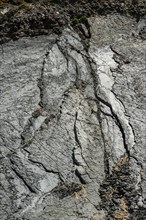 Rock layers on the Portuguese Atlantic coast, geology, grey, rock, slate, geological history, rock,