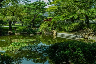 Traditional building reflected in a tranquil pond surrounded by greenery, in South Korea