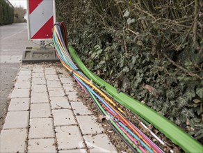 Fibre optic cable, laying, broadband, Internet, Lueneburg, Lower Saxony, Germany, Europe