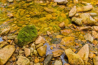 A vibrant stream flows over pebbles with a single moss-covered rock standing out, in South Korea
