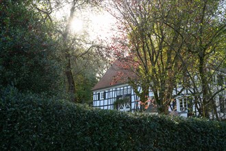 The morning sun shines through the trees and illuminates a traditional half-timbered house, Schee,