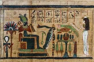 Hieroglyphs on papyrus, message, drawing, Egyptian, kingdom, antiquity, world history, history,