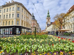 Graz, Austria, 26.03.2023: Colorful spring flowers in Jakominiplatz Square and Parish Church in the