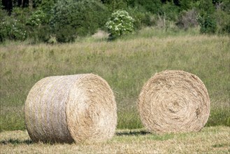 Two round hay bales on a green field in daylight