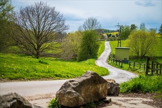 A winding path leads through a spring-like landscape with green meadows, Wuelfrath, Mettmann, North